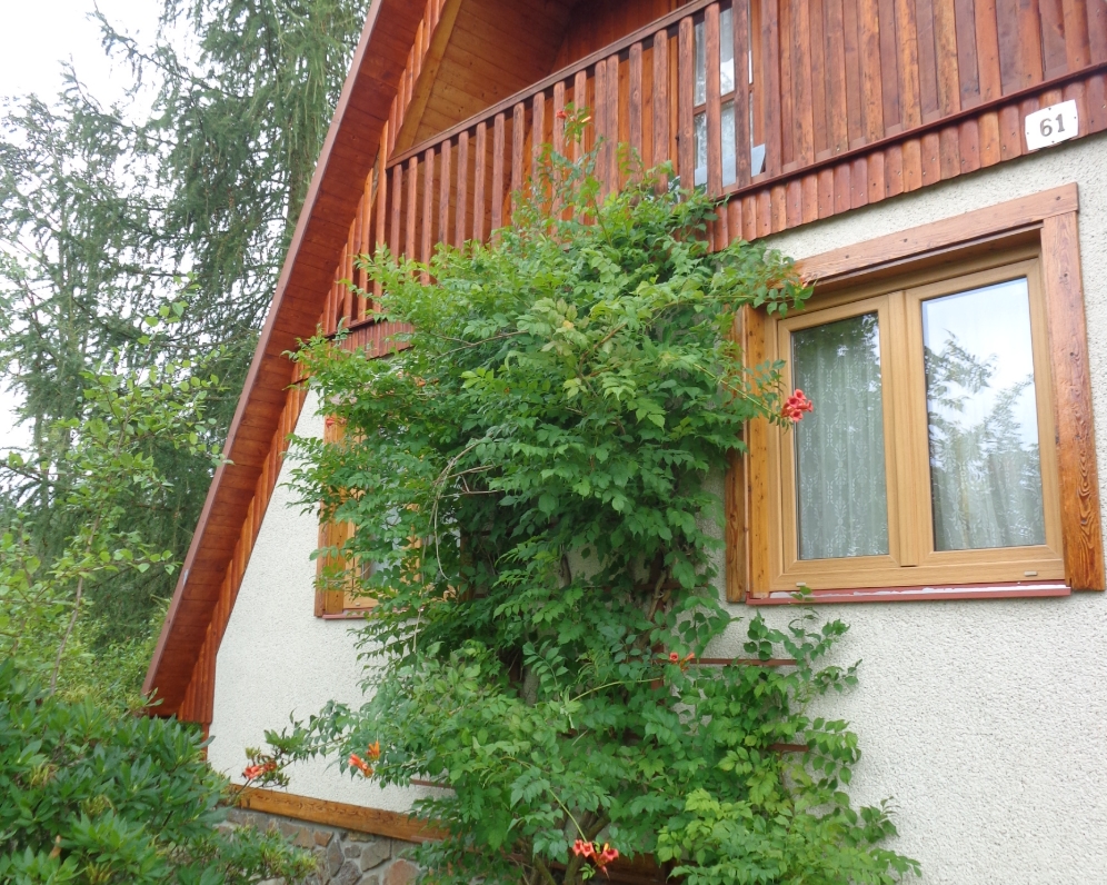 Prodej chaty ve Vysoké